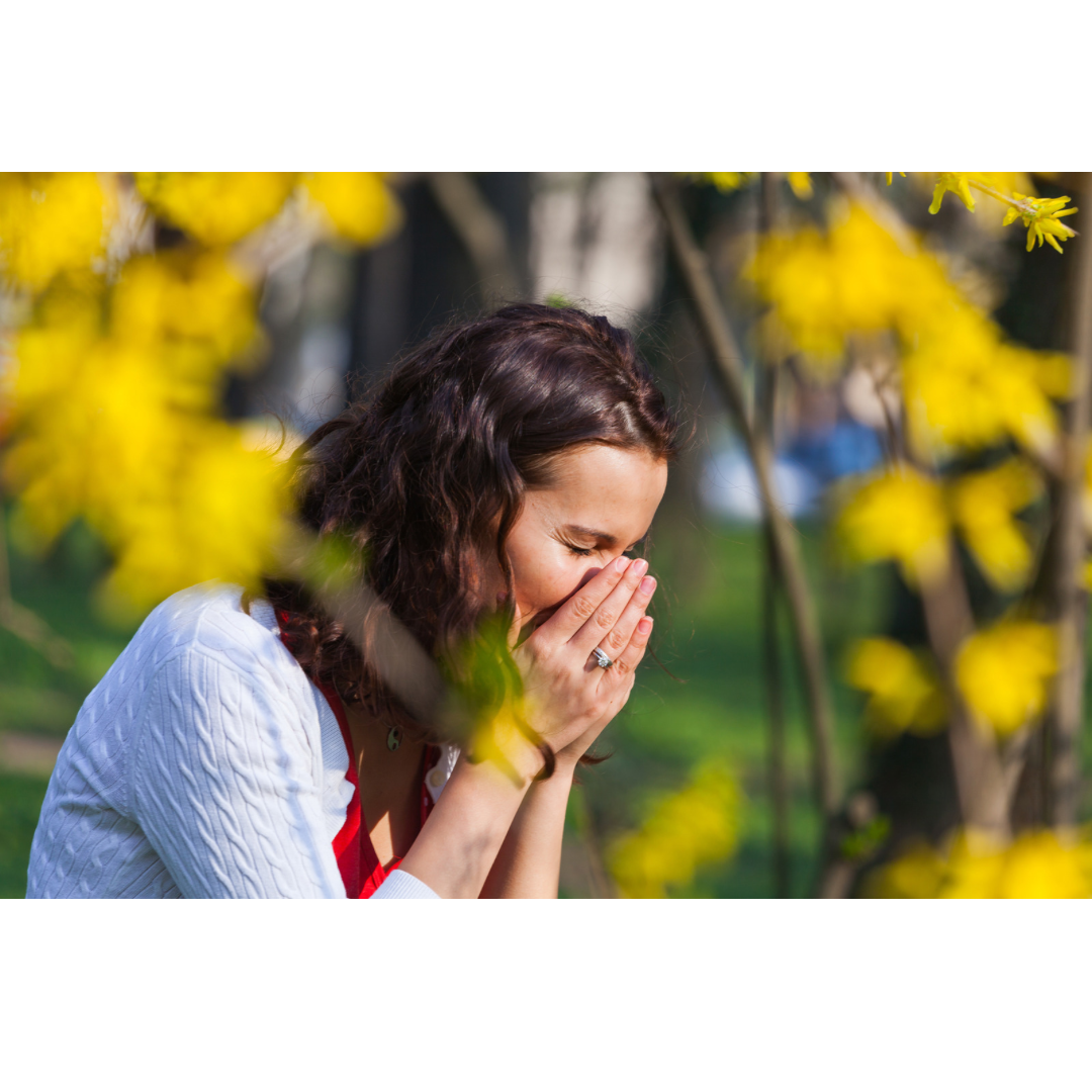 Stop Hay Fever Before It Starts: Essential Prevention Guide